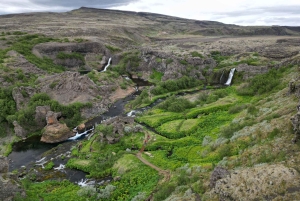 Reykjavik: Skreddersydd dagstur