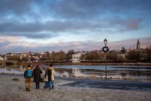 Reykjavik: Descubre el Alma Cultural de Islandia
