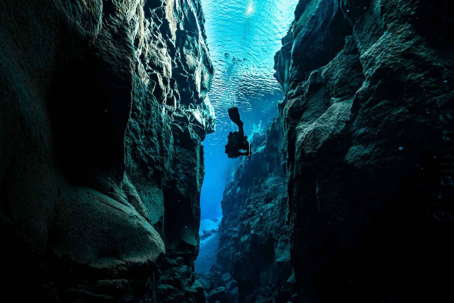 Reykjavik: Diving in Silfra with Underwater Photos