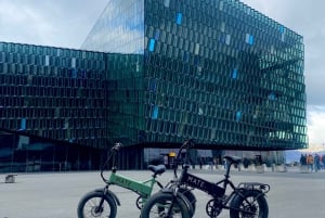 Reykjavik: EBike Tour of Nature, Coast, and City