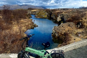 Reykjavik: e-biketocht door de natuur, langs de kust en door de stad