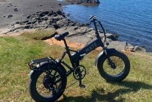 Reykjavik: e-biketocht door de natuur, langs de kust en door de stad