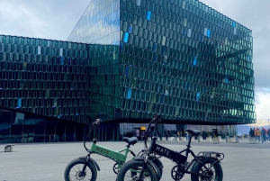 Reykjavik: e-biketocht door de natuur, langs de kust en door de stad