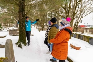 Reykjavik: Elves & Trolls of Iceland Walking Tour