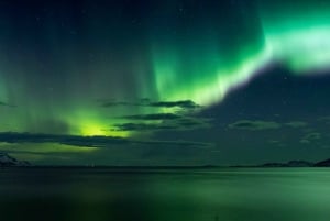 Reykjavik: Northern Lights with Icelandic Treats and Liquor