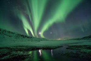 Reykjavik: Enchanted Aurora Northern Lights Tour med bilder
