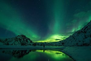 Reykjavik: Förtrollad Aurora norrskenstur med foton