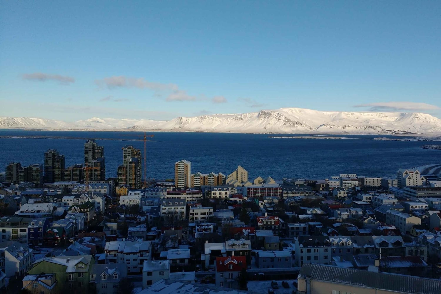 Reykjavik: Passeio expresso com um morador local em 60 minutos