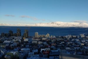 Reykjavik: Passeio expresso com um morador local em 60 minutos