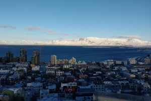 Reykjavik: Passeio expresso com um morador local em 60 minutos