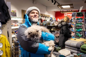 Reykjavik: Feline-Focused City Walking Tour
