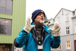 Рейкьявик: пешеходная экскурсия по городу с акцентом на кошек