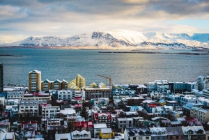 Reykjavik Food Tasting and City Walk - PRIVATE TOUR