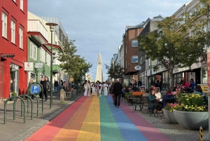 Reykjavik: culinaire tour met meer dan zes proeverijen van IJslandse klassiekers