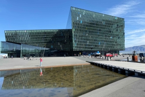 Reykjavik: culinaire tour met meer dan zes proeverijen van IJslandse klassiekers