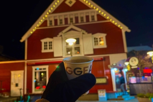 Reykjavik : visite culinaire avec plus de 6 dégustations de classiques islandais