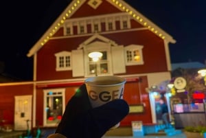 Reykjavik: culinaire tour met meer dan zes proeverijen van IJslandse klassiekers