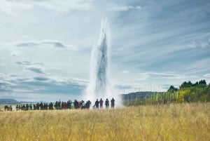 Reykjavik: Heldagsutflukt til Golden Circle og geotermisk drivhus