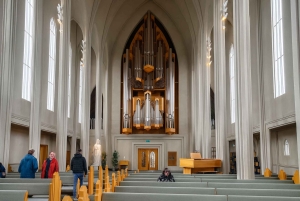 Reykjavik: heldags privat byomvisning med de beste attraksjonene