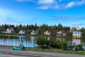 Reykjavik: heldags privat byomvisning med de beste attraksjonene