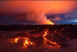 Reykjavik: heldags privat byomvisning med de beste attraksjonene