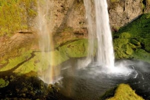 Reykjavík: German-speaking shore excursion South Iceland in a small group