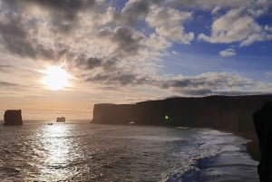 Reykjavík: German-speaking shore excursion South Iceland in a small group