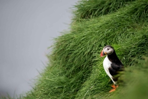 Reykjavik: Glacier Lagoon & Diamond Beach Private Tour