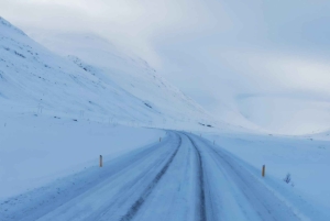 Reykjavik: Glacier Lagoon & Diamond Beach Private Tour