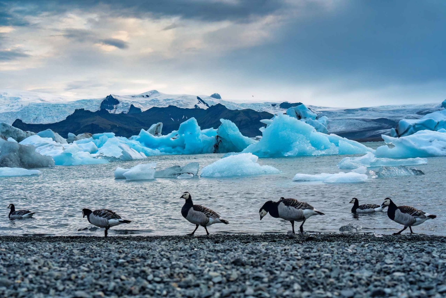 Reykjavík: Gletscherlagune, Diamant- & Schwarzer Strand auf Chinesisch