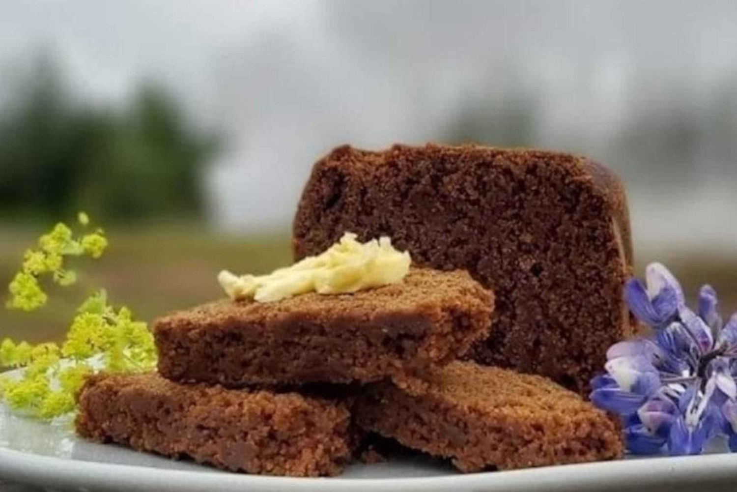 Reykjavík: Den gylne sirkel, 2 geysirer og geotermisk bakeri