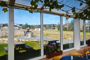 Reykjavík: Den gylne sirkel, 2 geysirer og geotermisk bakeri