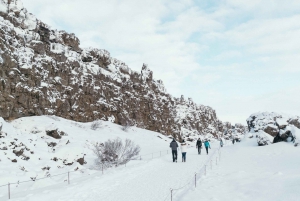 Reykjavík: Ettermiddagstur i Den gylne sirkel