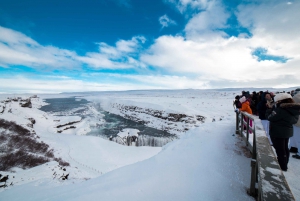 Reykjavík: Tour pomeridiano del Circolo d'Oro