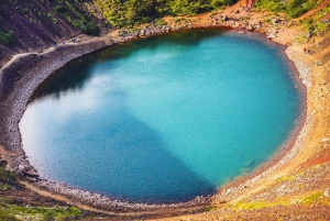 Reykjavík: Golden Circle iltapäiväkierros