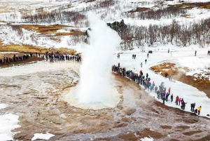 Reykjavík: Eftermiddagstur Gyllene Cirkeln