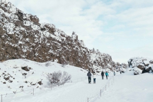 Reykjavík: Ettermiddagstur i Den gylne sirkel