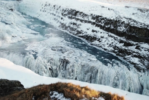 Reykjavík: Eftermiddagstur Gyllene Cirkeln