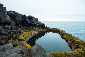 Reykjavik: Golden Circle, Blue Lagoon, and Reykjanes Tour