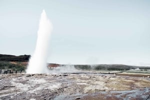Reykjavík: passeio pelo Círculo Dourado, Lagoa Azul e as Luzes do Norte