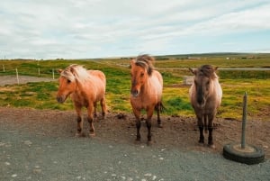 Reykjavik: Golden Circle Day Trip with Kerið Crater