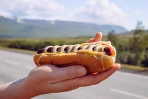 Рейкьявик: экскурсия для небольшой группы по Золотому кольцу и водопадам