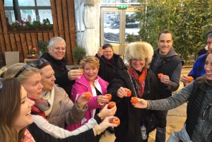 Reykjavik: Viagem de 1 dia ao Círculo Dourado, Fridheimar e Sky Lagoon