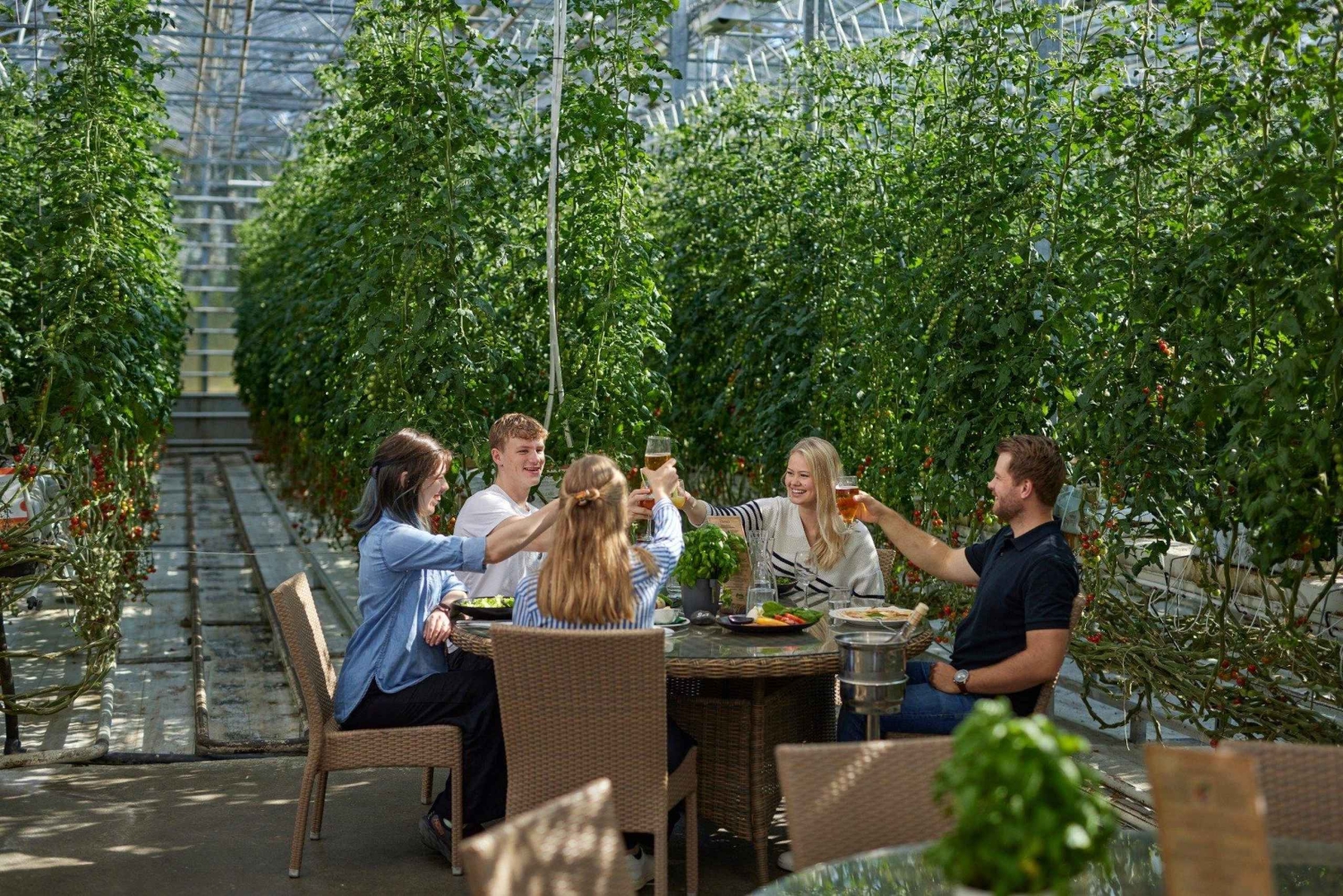 Reikiavik: Círculo Dorado, laguna geotérmica y Fridheimar