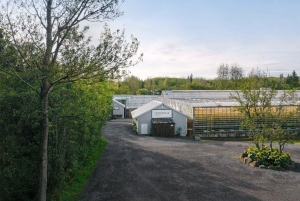 Reikiavik: Círculo Dorado, laguna geotérmica y Fridheimar