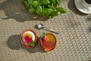 Reikiavik: Círculo Dorado, laguna geotérmica y Fridheimar