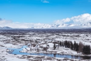 Reykjavik: Golden Circle, Glacier Truck & Ice Cave Tour