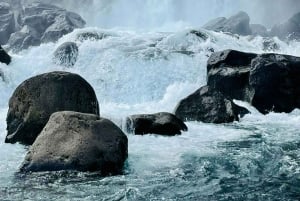 Reykjavik: Golden Circle auf Italienisch, Þingvellir, Geysir, Gullfoss
