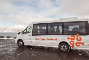 Reykjavik: Experience Iceland's Golden Circle with Tickets