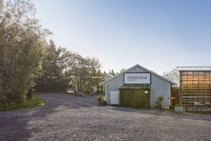 Reykjavík: Golden Circle, Laugaras Lagoon & Fridheimar